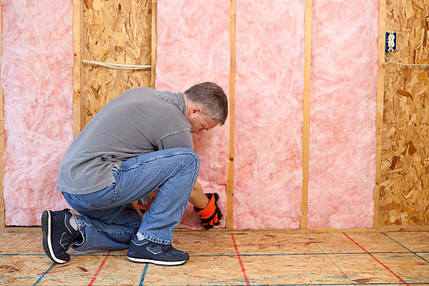 Best Insulation Maintenance and Repair in Corona De Tucson, AZ