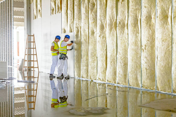 Best Types of Insulation in Corona De Tucson, AZ